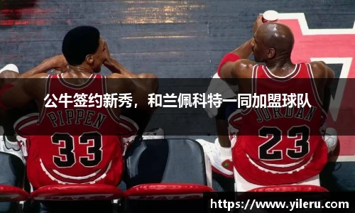 公牛签约新秀，和兰佩科特一同加盟球队