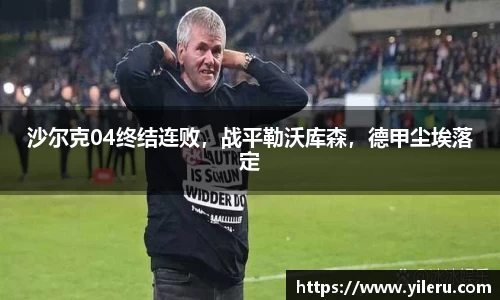 沙尔克04终结连败,战平勒沃库森,德甲尘埃落定