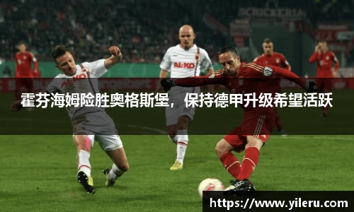 霍芬海姆险胜奥格斯堡，保持德甲升级希望活跃