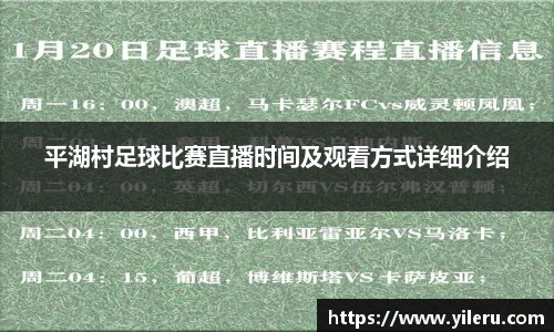 平湖村足球比赛直播时间及观看方式详细介绍