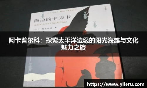 阿卡普尔科：探索太平洋边缘的阳光海滩与文化魅力之旅