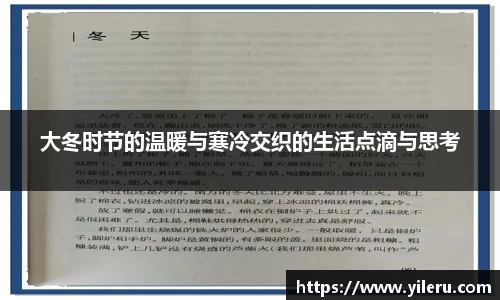 大冬时节的温暖与寒冷交织的生活点滴与思考